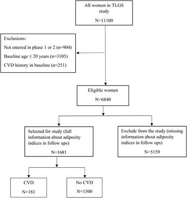 Adiposity trajectories and cardiovascular disease risk in women: a population-based cohort study with a focus on menopausal status